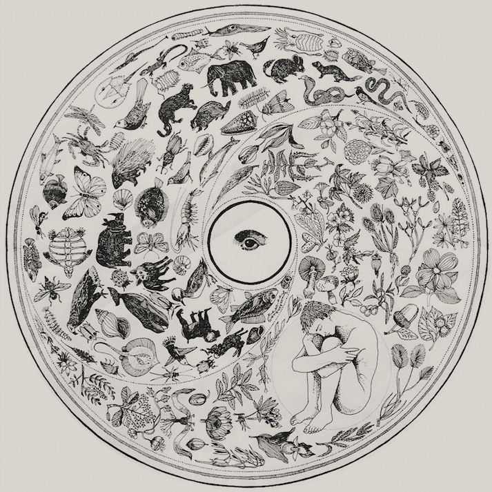 Psychedelic integration illustrated by circle full of organic life forms